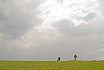 Landschappen
