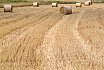 Landschappen