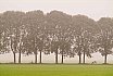 Landschappen
