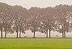 Landschappen