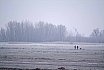 Landschappen