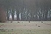Landschappen