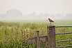 Landschappen
