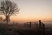 Landschappen