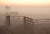 Landschappen