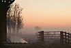 Landschappen