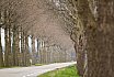 Landschappen