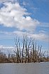 Landschappen