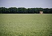 Landschappen