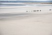 Landschappen