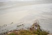 Landschappen