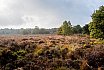 Landschappen