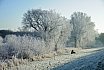 Landschappen